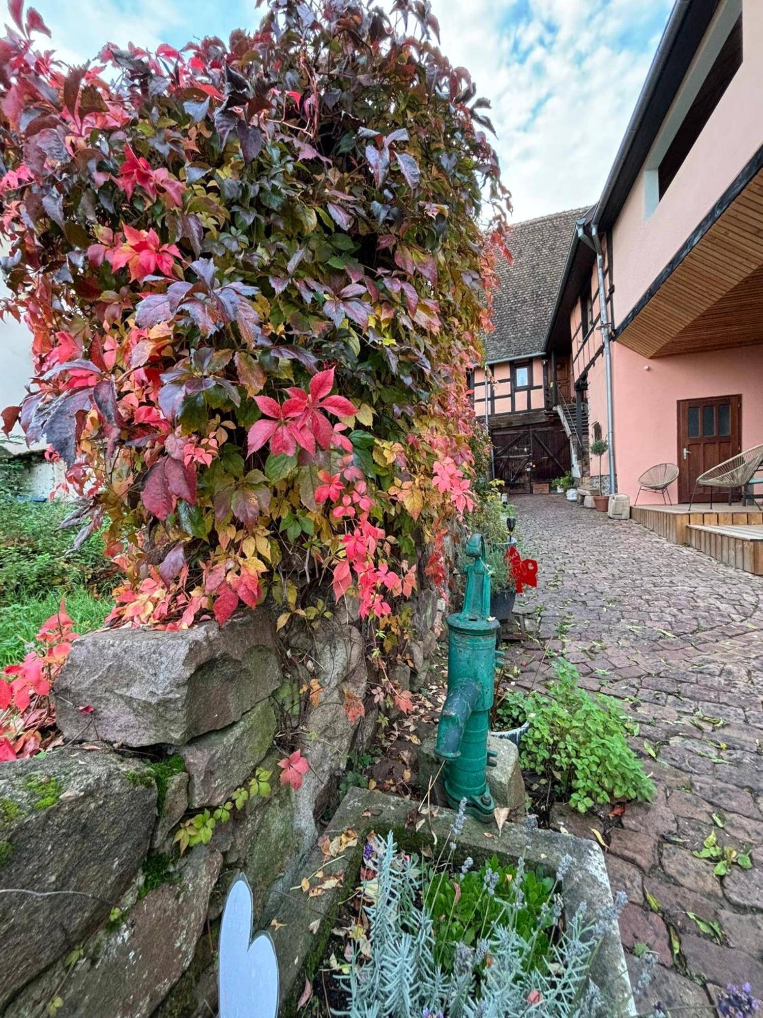 Gite Origin Gueberschwihr Exterior foto